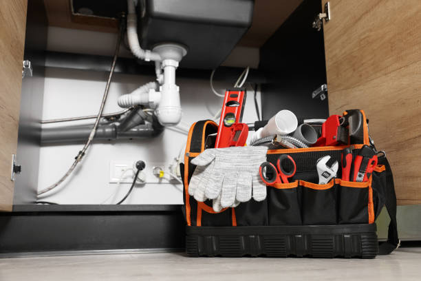 Best Same-Day Plumbing Service  in Progreso, TX