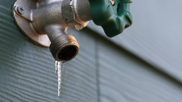 Best Water Leak Repair  in Progreso, TX